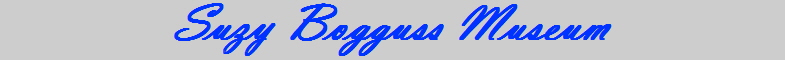 Suzy Bogguss Museum